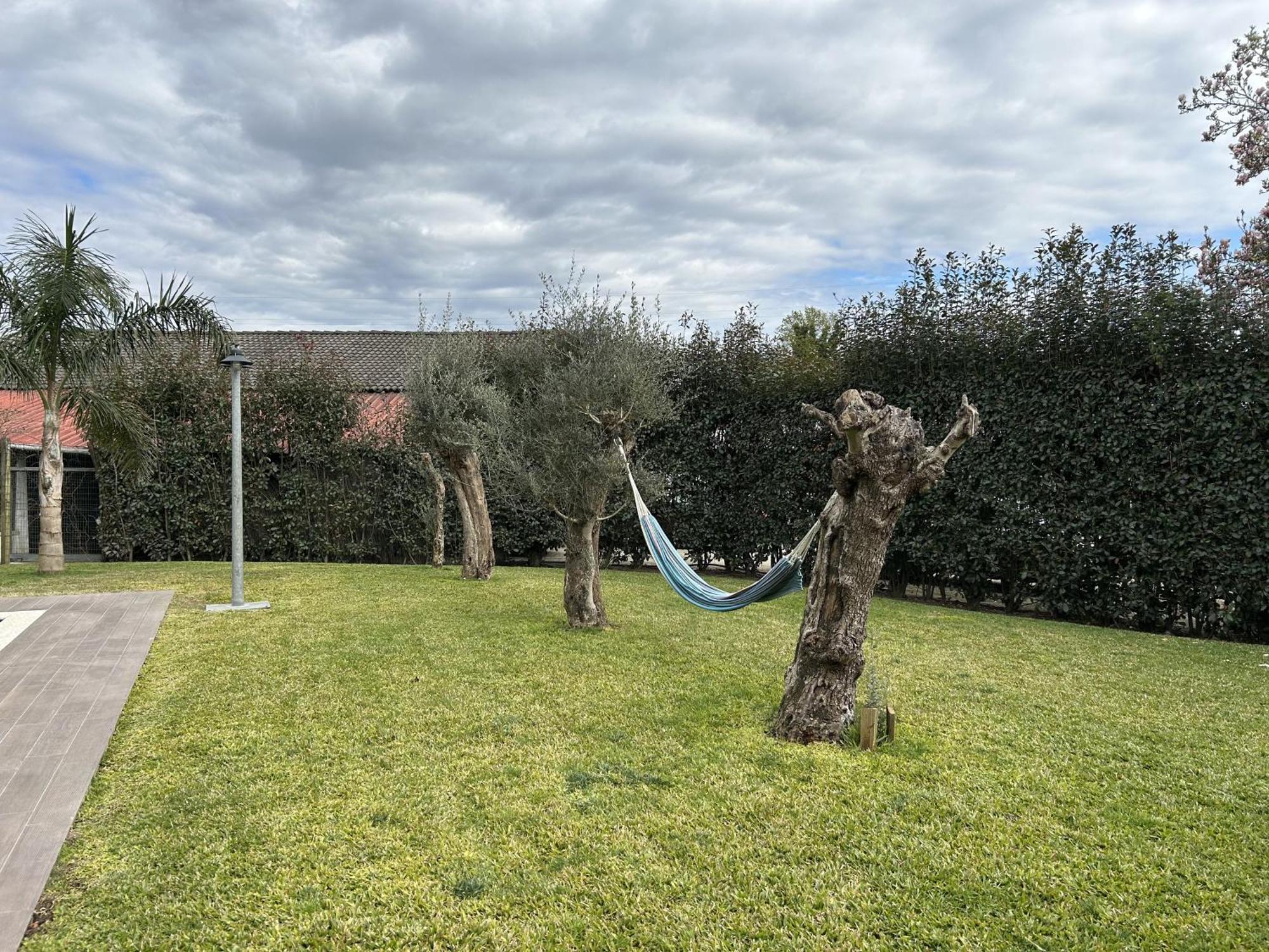 Appartamento Casa Da Padroa Braga Esterno foto